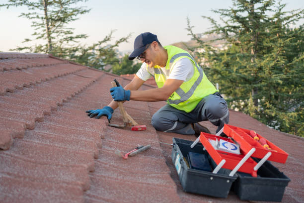 Best Roof Maintenance Services  in Wahese, NC